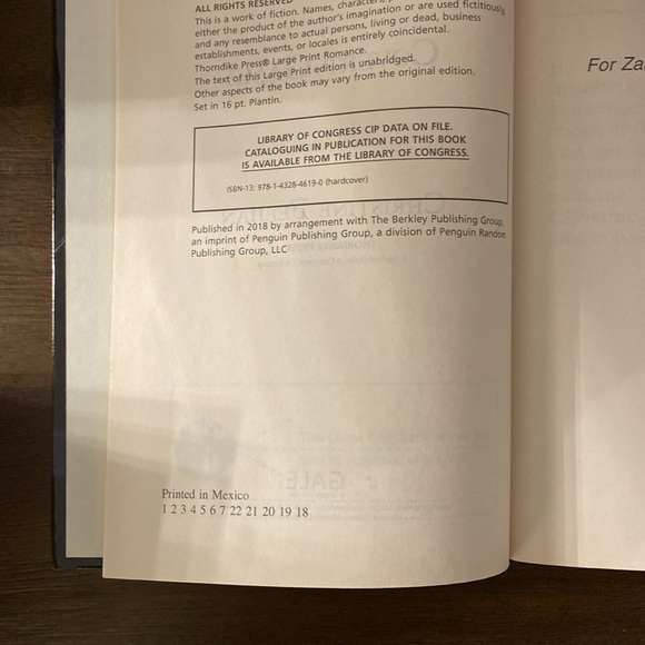 Christine Feehan Large Print Reader’s Bundle (Covert Game & Dark Sentinel) - Picture 5 of 13